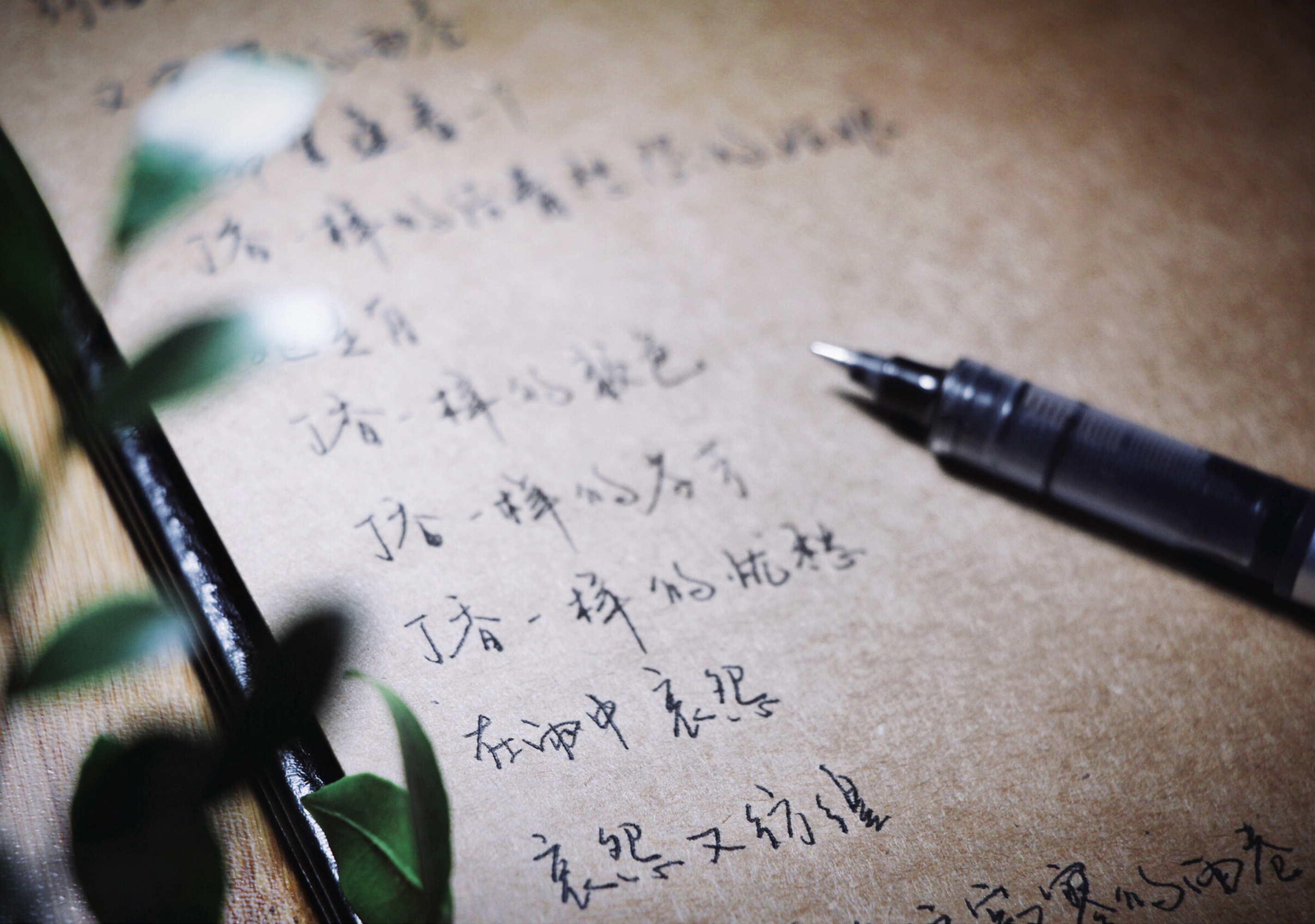 捕捉生活灵感,随笔最新