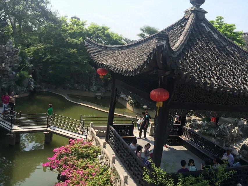 企鹅最新资讯，小巷深处的特色小店探秘