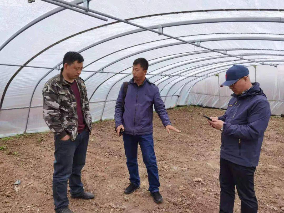 榆钱的力量，学习变化与自信成就的最新启示
