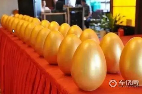 金蛋最新趋势，学习变化，自信成就无限可能