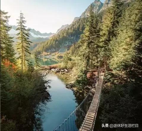 电车最新动态，驶向未来的励志之旅