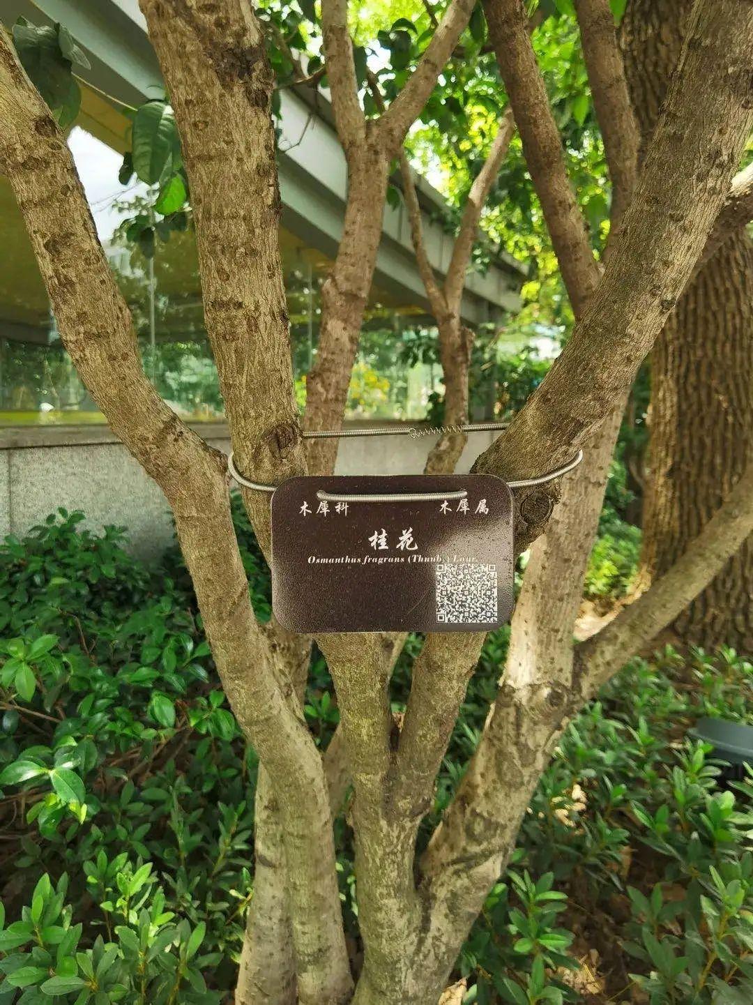 商业空间规划设计 第17页