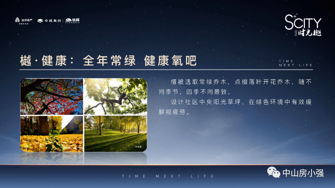 时代浪潮中的最新心声回响