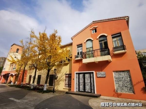 铁锅最新趋势，深度分析与阐述
