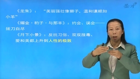 最新EPG引领学习之旅，拥抱变化，自信闪耀