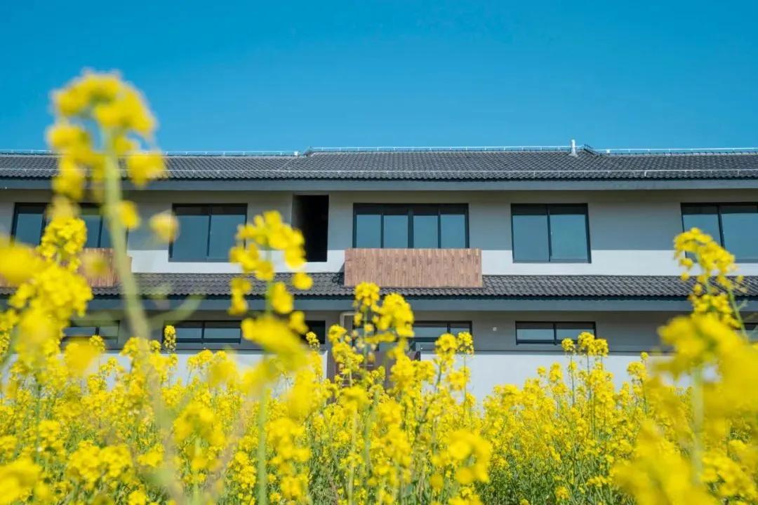 国家卫健委最新通知，科技助力健康，让生活更美好