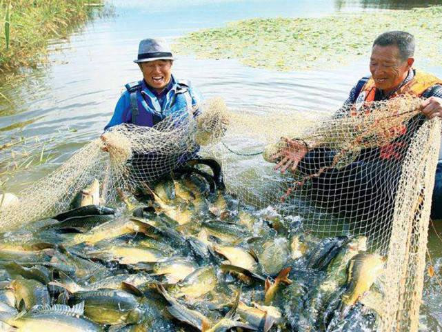 最新钓鱼器，学习、成长与收获自信与成就感的旅程