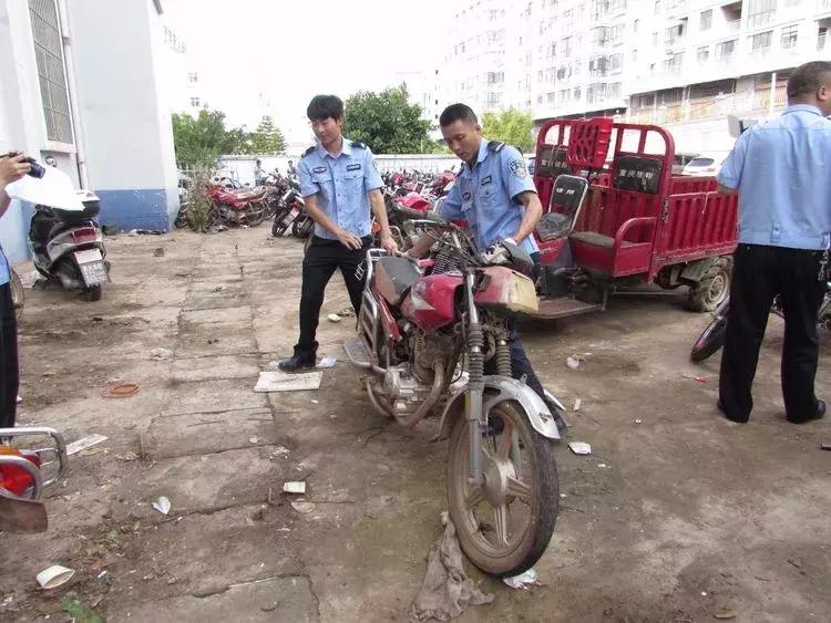 永仁最新开启，欢乐温馨的日常生活时光