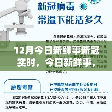 病毒实时播报，最新新闻动态，不容错过！