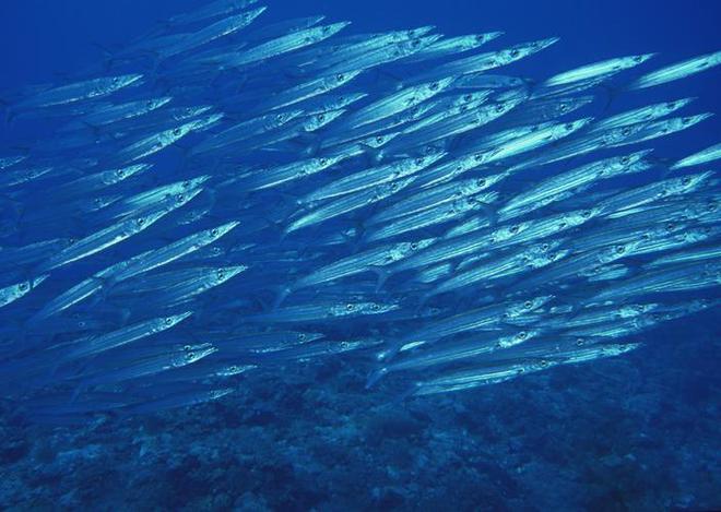 品牌环境系统 第90页