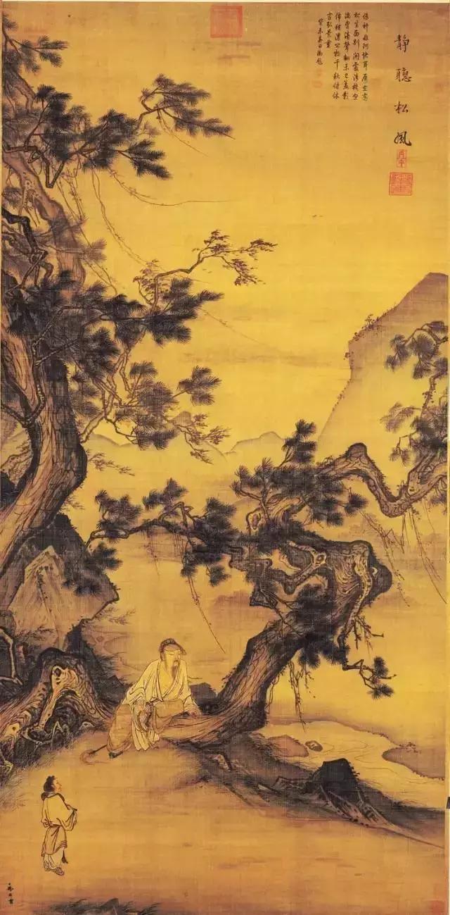 林最新探索之旅，与自然美景的邂逅，寻找内心平和与喜悦的旅程