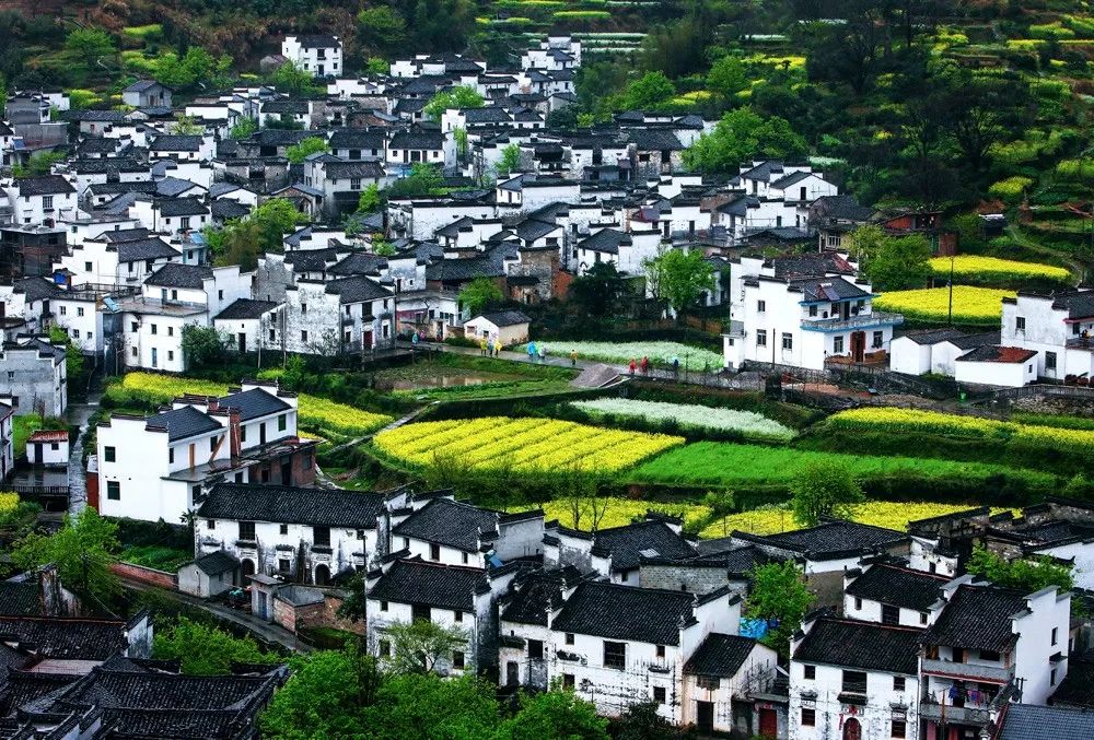 婺源最新任免，邻里间的温情日常