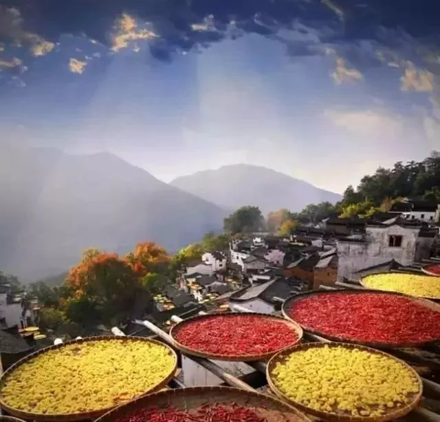 探访自然之美，远离毒品，追寻大自然的纯净之旅