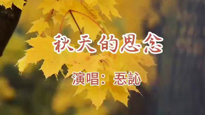最新好听歌曲探索与争议,音乐的旅程与热议话题