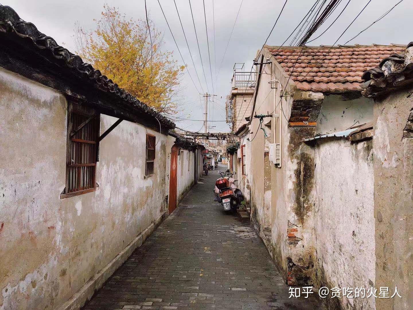 小巷深处的隐藏瑰宝,最新文综事件揭秘