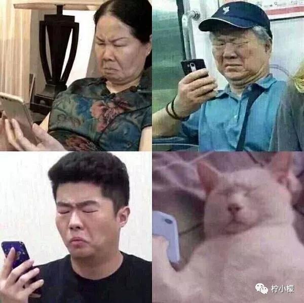 小鸡庄园答案最新揭秘,自然美景探索之旅开启