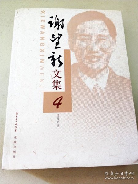 谢留卿,现代社会的文学新星探索者