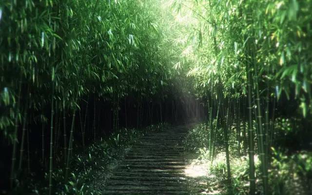 凯竹最新动态,拥抱自然,探寻内心宁静与喜悦