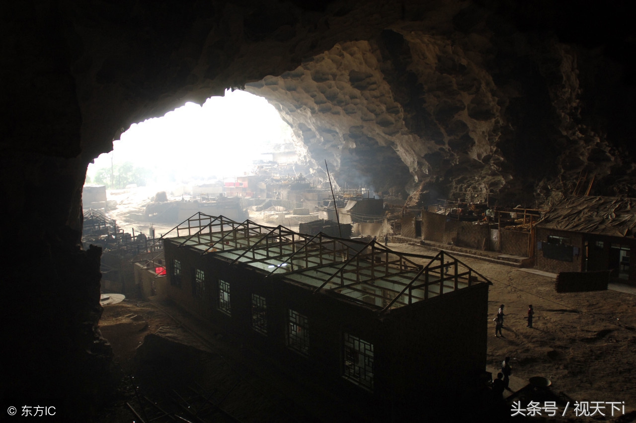 南昌最新鸟洞揭秘,小巷中的隐秘观鸟胜地